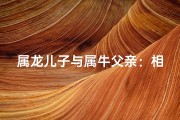 属龙儿子与属牛父亲：相克还是互补？