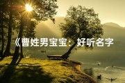 《曹姓男宝宝：好听名字精选指南》