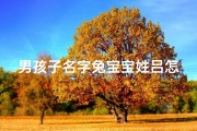 男孩子名字兔宝宝姓吕怎么取