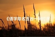《缙字取名吉凶一网打尽，揭秘姓名奥秘》