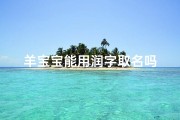 羊宝宝能用润字取名吗