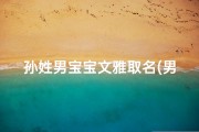 孙姓男宝宝文雅取名(男宝孙姓起名)