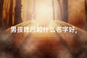 男孩姓吕起什么名字好;《吕姓宝宝男孩名字大全：传承父姓之美》