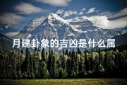 月建卦象的吉凶是什么属相、《月建卦象吉凶揭秘：属相运势大解析》