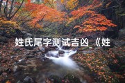 姓氏尾字测试吉凶_《姓氏尾字吉凶速测：揭秘命运密码》