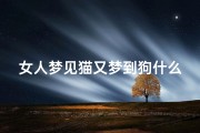 女人梦见猫又梦到狗什么预兆-女人梦见猫又梦到狗什么预兆呢