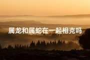 属龙和属蛇在一起相克吗