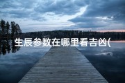 生辰参数在哪里看吉凶(如何看生辰)
