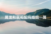 属龙和鼠相配吗婚姻—属龙和鼠相配吗婚姻如何