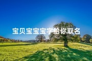宝贝宝宝宝字给你取名