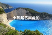 小孩起名属虎的