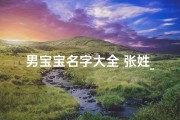 男宝宝名字大全 张姓_男宝宝取名字大全集姓张