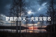 梦嘉的含义—虎宝宝取名梦佳：寓意美好，响亮好听男孩名
