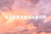 属马跟属龙能成夫妻吗好吗-属马与属龙能否成为佳偶伴侣？