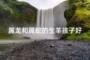 属龙和属蛇的生羊孩子好吗