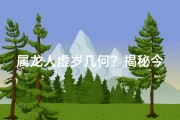 属龙人虚岁几何？揭秘今年年龄之谜