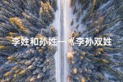 李姓和孙姓—《李孙双姓男宝宝名字精选大全》