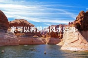 家可以养鸽吗风水好吗-家可以养鸽吗风水好吗视频