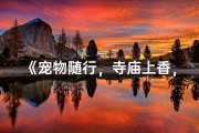 《宠物随行，寺庙上香，祈福新体验》