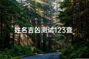 姓名吉凶测试123査_姓名吉凶免费