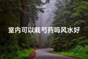 室内可以栽芍药吗风水好吗