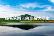 姓名笔画吉凶查询大全库、《性名笔画揭秘：精准吉凶测试表大公开》