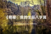 《揭秘：我的生辰八字属什么命，运势大揭秘》
