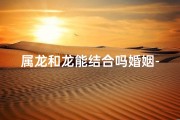 属龙和龙能结合吗婚姻-属龙和属龙的能在一起吗