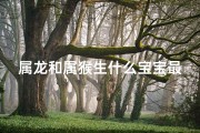 属龙和属猴生什么宝宝最好、龙猴结合喜得金兔宝