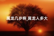 属龙几岁啊_属龙人多大岁数立子最吉祥？