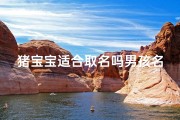 猪宝宝适合取名吗男孩名字,猪宝宝适合取名吗？男孩名字精选推荐
