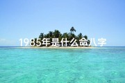 1985年是什么命八字网—1985年运势揭秘：揭秘1985年命八字的秘密