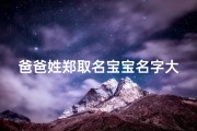 爸爸姓郑取名宝宝名字大全、《郑姓爸爸育儿必备：精选宝宝名字大全》