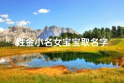 姓金小名女宝宝取名字