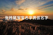 张姓鼠宝宝名字男孩名字(《张氏鼠宝宝男孩，吉祥如意好名字揭晓》)