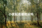 小孩起名俊皓好吗