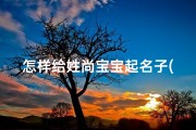 怎样给姓尚宝宝起名子(我姓尚帮我起个好名字)