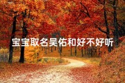 宝宝取名吴佑和好不好听(《宝宝取名吴佑和：寓意美好，好听易记》)
