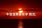 牛宝宝男孩名字 姓沈;沈家牛宝宝，男孩名字闪耀新生