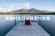 属鼠的生日蛋糕图片加音乐—鼠年大吉：鼠形蛋糕甜蜜亮相
