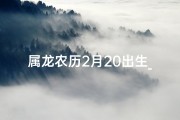 属龙农历2月20出生_属龙农历2月出生五行缺什么