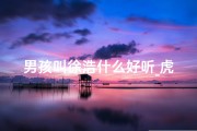 男孩叫徐浩什么好听_虎宝宝徐浩瑞：取名之道，智慧与吉祥同行