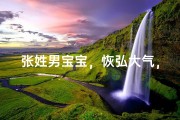 张姓男宝宝，恢弘大气，雄心壮志，未来可期
