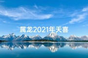 属龙2021年天喜