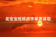龙宝宝姓杨成字辈男孩取名字大全(龙年杨姓男孩取什么名字好杨氏属龙男生最佳名字)