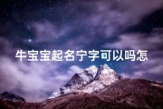 牛宝宝起名宁字可以吗怎么起