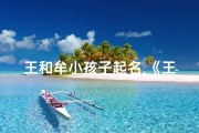 王和牟小孩子起名,《王牟童趣：小宝贝的快乐时光》