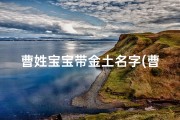 曹姓宝宝带金土名字(曹宝宝金土闪耀，吉祥名字寓意长)
