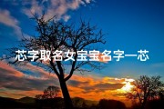 芯字取名女宝宝名字—芯字起名女孩名字