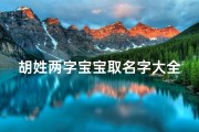 胡姓两字宝宝取名字大全—《胡姓两字宝宝取名大全：精选美名汇聚》